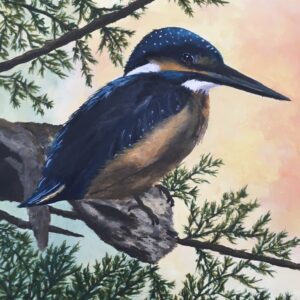 King Fisher Awaits