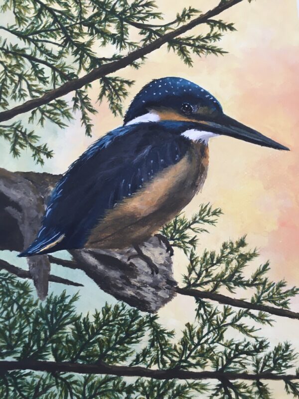 King Fisher Awaits