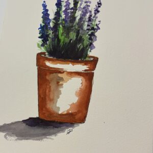 Potted Lavender