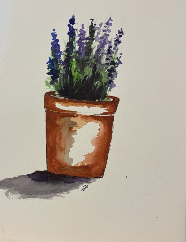 Potted Lavender